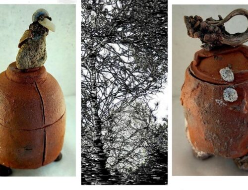 BOITES ET PIC – EXPOSITION REMY ROUX