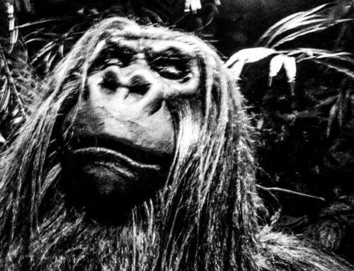 EXPOSITION ERICK SOYER