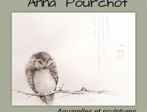 EXPOSITION ANNA POURCHOT