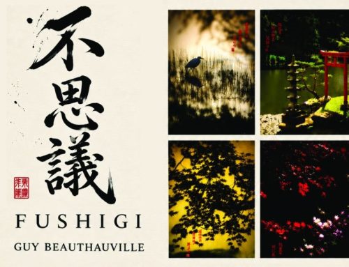 EXPOSITION FUSHIGI – GUY BEAUTHAUVILLE